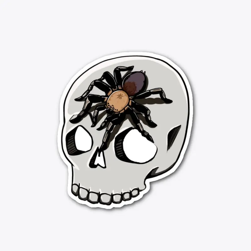 Halloween Skeleton Tarantula Skull