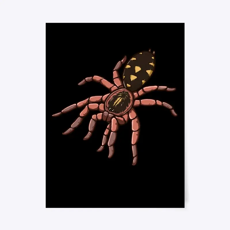 Pumpkin Patch Tarantula 