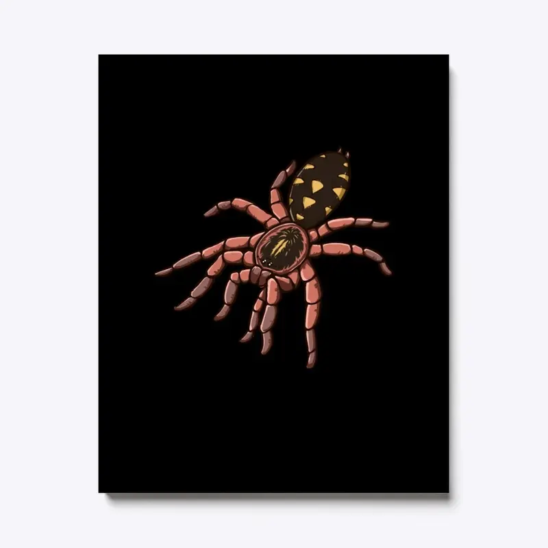 Pumpkin Patch Tarantula 